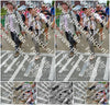 Evenement foto: Nijmeegse Vierdaagse 941