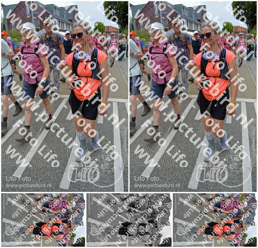 Evenement foto: Nijmeegse Vierdaagse 941