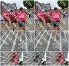 Evenement foto: Nijmeegse Vierdaagse 941