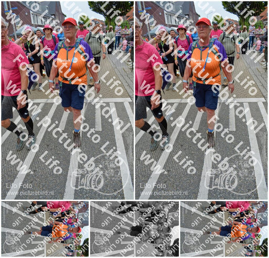 Evenement foto: Nijmeegse Vierdaagse 941