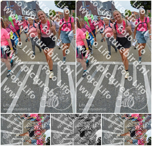 Evenement foto: Nijmeegse Vierdaagse 941