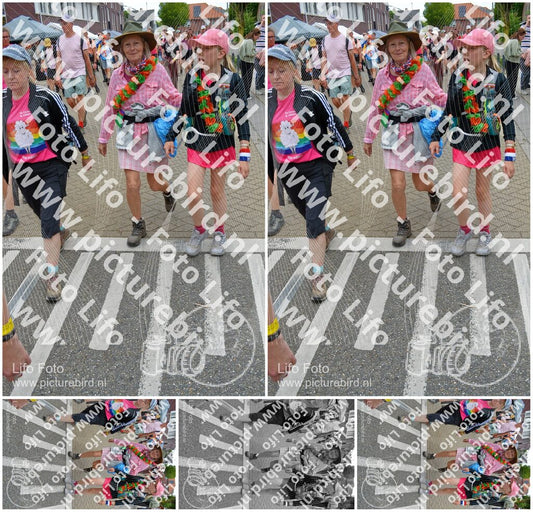 Evenement foto: Nijmeegse Vierdaagse 941