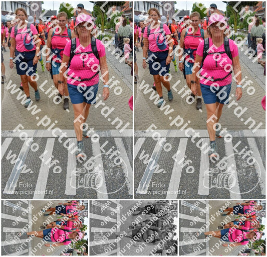 Evenement foto: Nijmeegse Vierdaagse 941