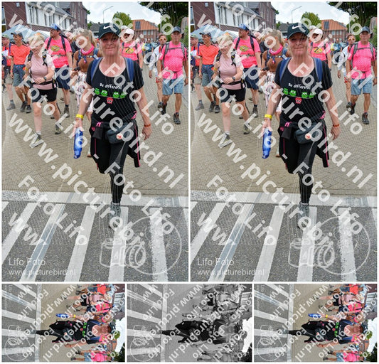 Evenement foto: Nijmeegse Vierdaagse 941