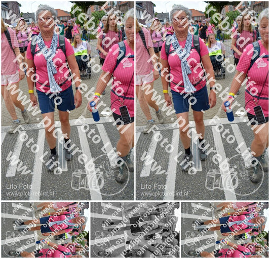Evenement foto: Nijmeegse Vierdaagse 941