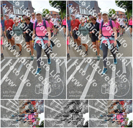 Evenement foto: Nijmeegse Vierdaagse 941