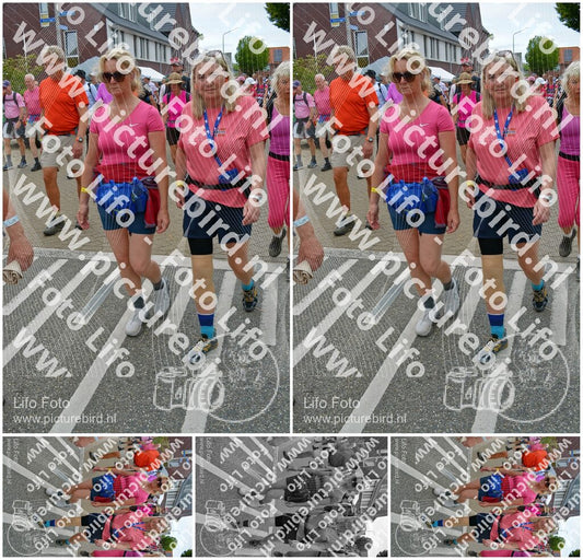 Evenement foto: Nijmeegse Vierdaagse 941