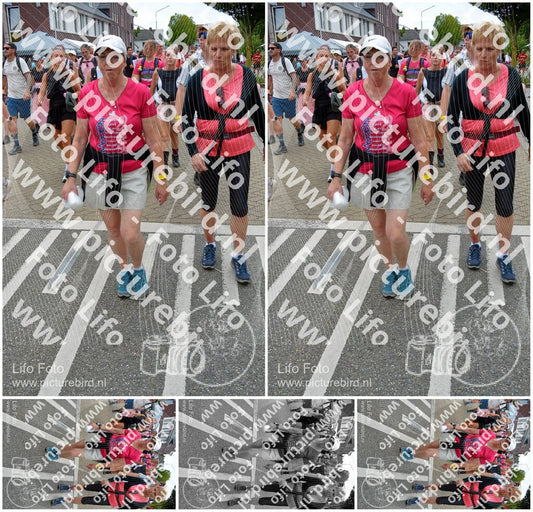 Evenement foto: Nijmeegse Vierdaagse 941