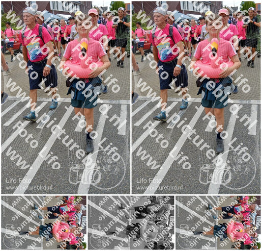 Evenement foto: Nijmeegse Vierdaagse 941