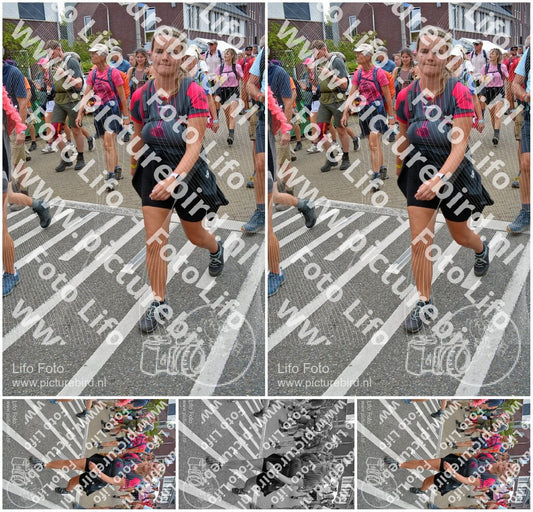 Evenement foto: Nijmeegse Vierdaagse 941