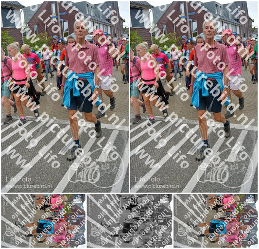 Evenement foto: Nijmeegse Vierdaagse 941