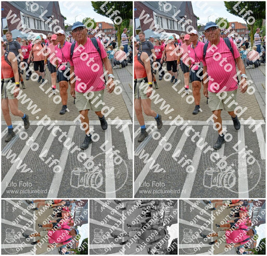 Evenement foto: Nijmeegse Vierdaagse 941