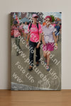 Evenement foto: Nijmeegse Vierdaagse 940