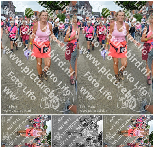Evenement foto: Nijmeegse Vierdaagse 940