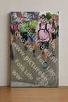 Evenement foto: Nijmeegse Vierdaagse 940