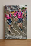 Evenement foto: Nijmeegse Vierdaagse 940