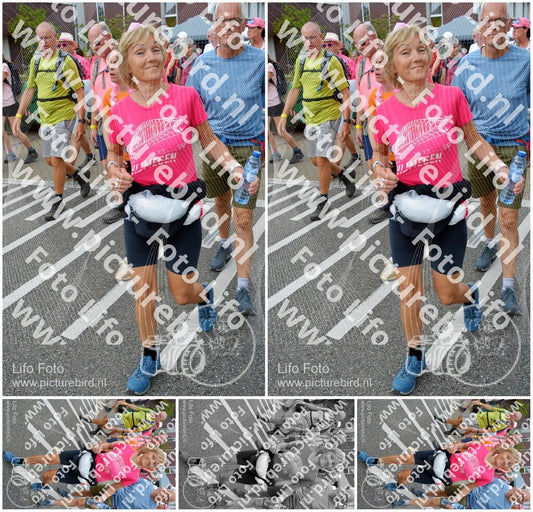 Evenement foto: Nijmeegse Vierdaagse 939