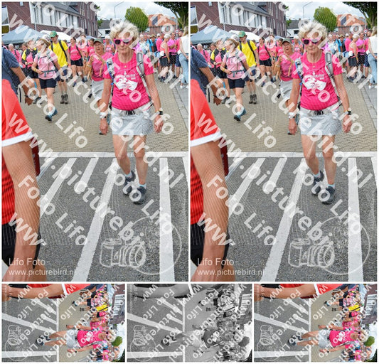 Evenement foto: Nijmeegse Vierdaagse 939