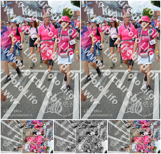 Evenement foto: Nijmeegse Vierdaagse 939