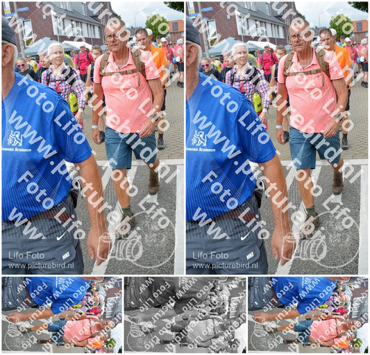 Evenement foto: Nijmeegse Vierdaagse 939