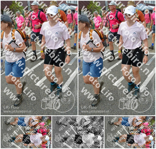 Evenement foto: Nijmeegse Vierdaagse 939