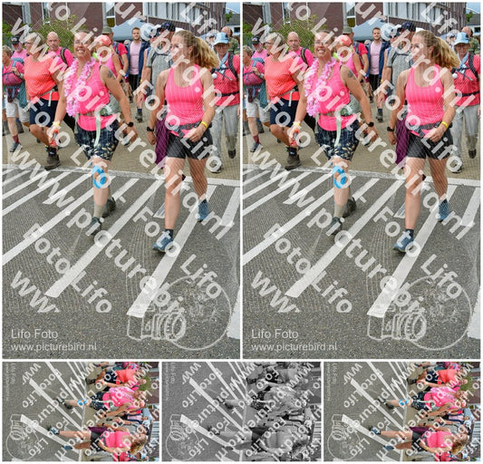 Evenement foto: Nijmeegse Vierdaagse 939