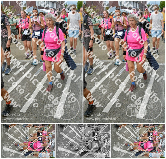 Evenement foto: Nijmeegse Vierdaagse 939