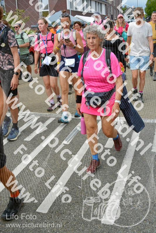 Evenement foto: Nijmeegse Vierdaagse 939