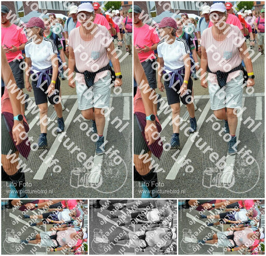 Evenement foto: Nijmeegse Vierdaagse 939