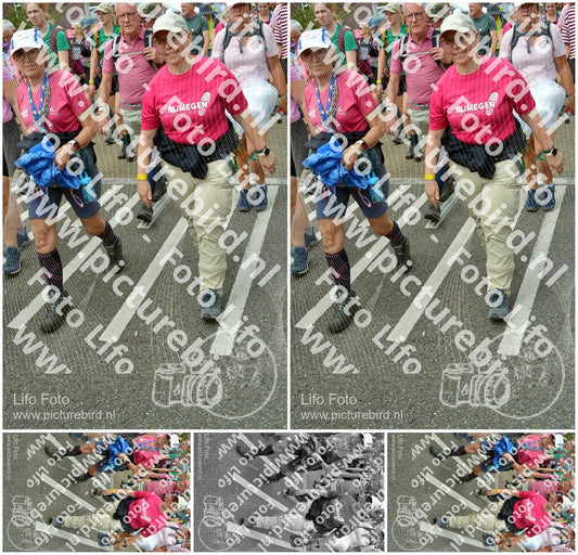 Evenement foto: Nijmeegse Vierdaagse 939