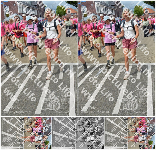 Evenement foto: Nijmeegse Vierdaagse 939
