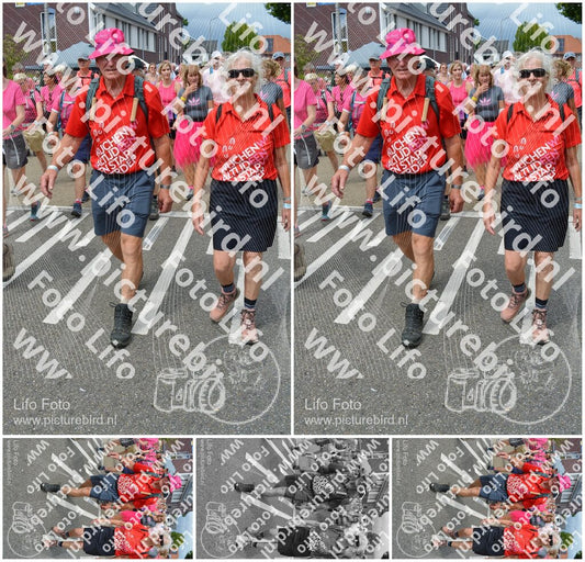 Evenement foto: Nijmeegse Vierdaagse 939