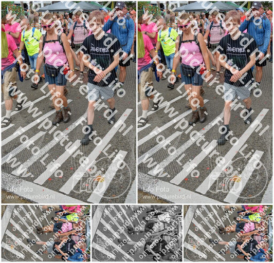Evenement foto: Nijmeegse Vierdaagse 939