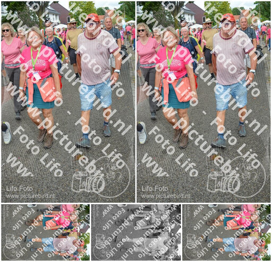Evenement foto: Nijmeegse Vierdaagse 939