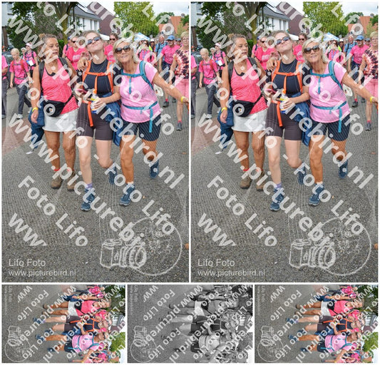 Evenement foto: Nijmeegse Vierdaagse 939