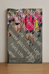 Evenement foto: Nijmeegse Vierdaagse 939