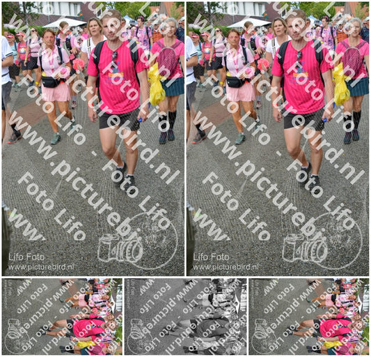 Evenement foto: Nijmeegse Vierdaagse 939