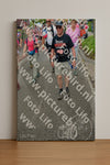 Evenement foto: Nijmeegse Vierdaagse 939