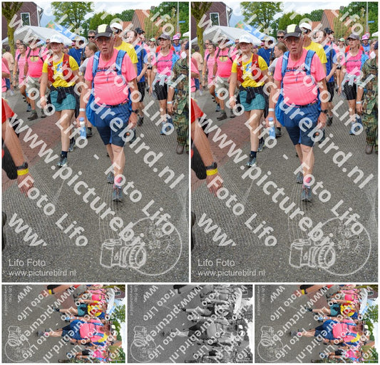 Evenement foto: Nijmeegse Vierdaagse 939