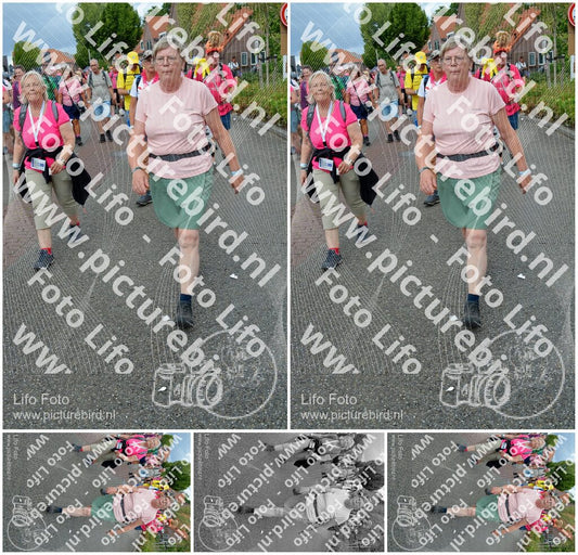 Evenement foto: Nijmeegse Vierdaagse 939