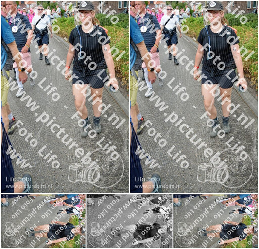 Evenement foto: Nijmeegse Vierdaagse 939