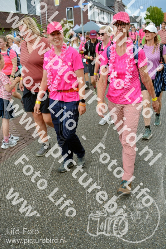 Evenement foto: Nijmeegse Vierdaagse 939