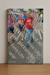 Evenement foto: Nijmeegse Vierdaagse 939