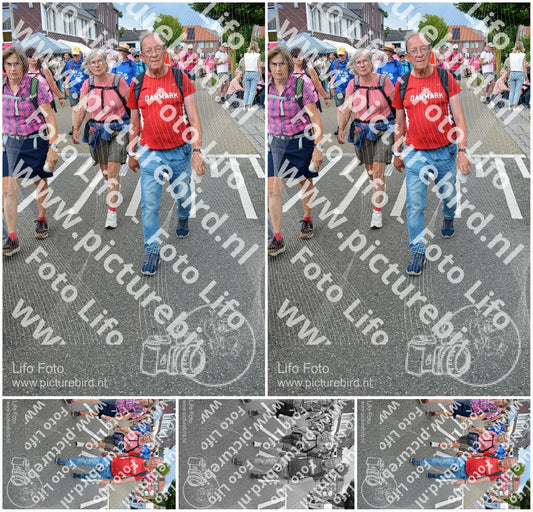 Evenement foto: Nijmeegse Vierdaagse 939