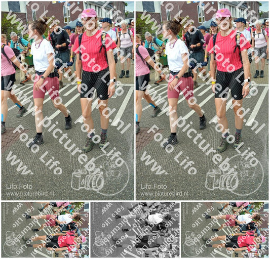 Evenement foto: Nijmeegse Vierdaagse 939