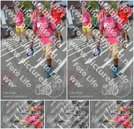 Evenement foto: Nijmeegse Vierdaagse 939