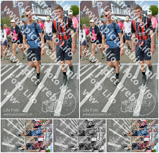 Evenement foto: Nijmeegse Vierdaagse 939