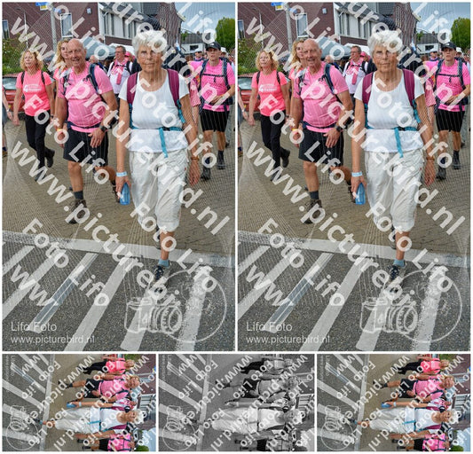 Evenement foto: Nijmeegse Vierdaagse 939