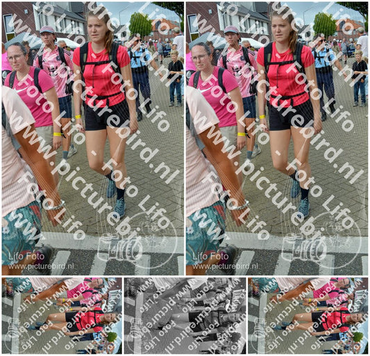 Evenement foto: Nijmeegse Vierdaagse 939