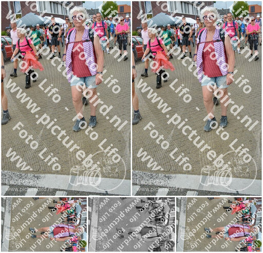 Evenement foto: Nijmeegse Vierdaagse 939